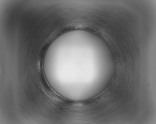 X0000084020262200702160834
