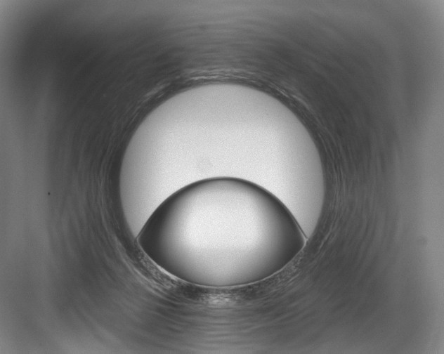 X0000084020264200702160834
