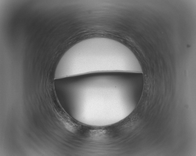 X0000084020266200702160834