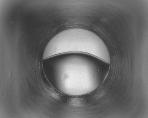 X0000084020268200702160834