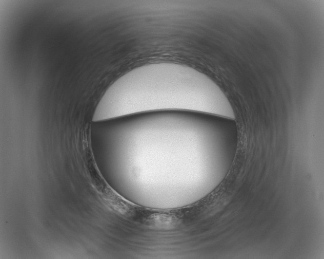 X0000084020272200702160834