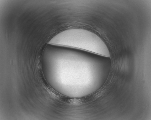X0000084020273200702160834