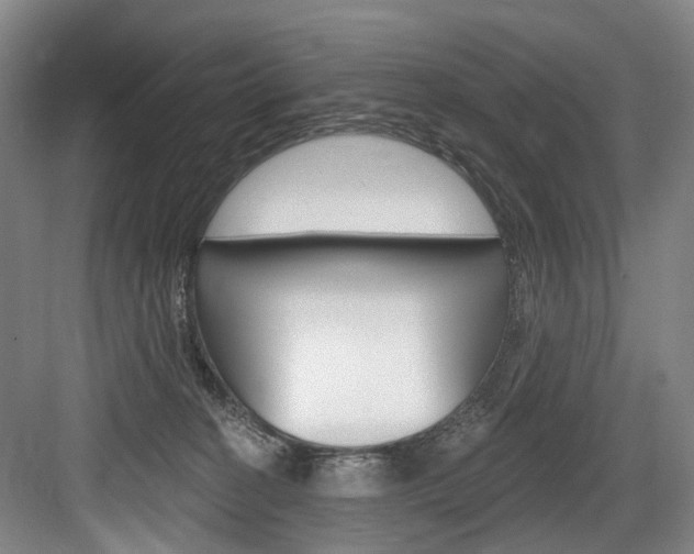 X0000084020274200702160834