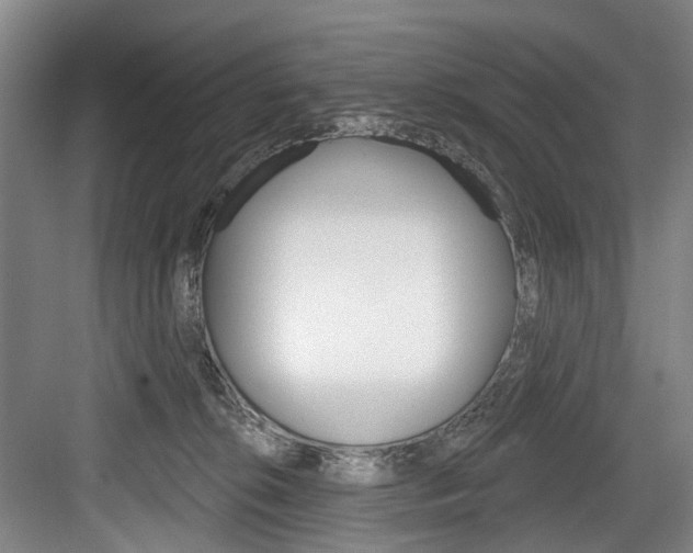X0000084020276200702160834