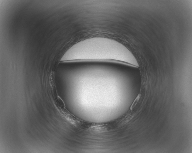 X0000084020280200702160834