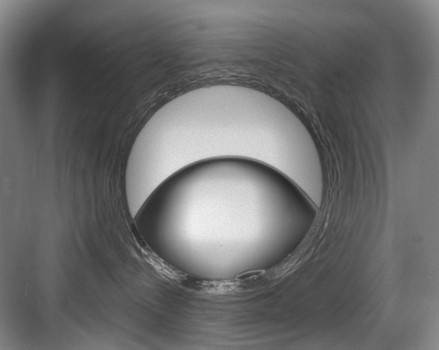 X0000084020288200702160834