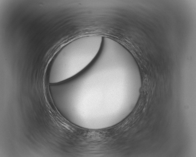 X0000084020290200702160833
