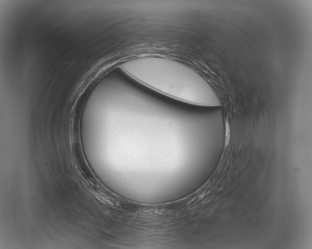 X0000084020291200702160833