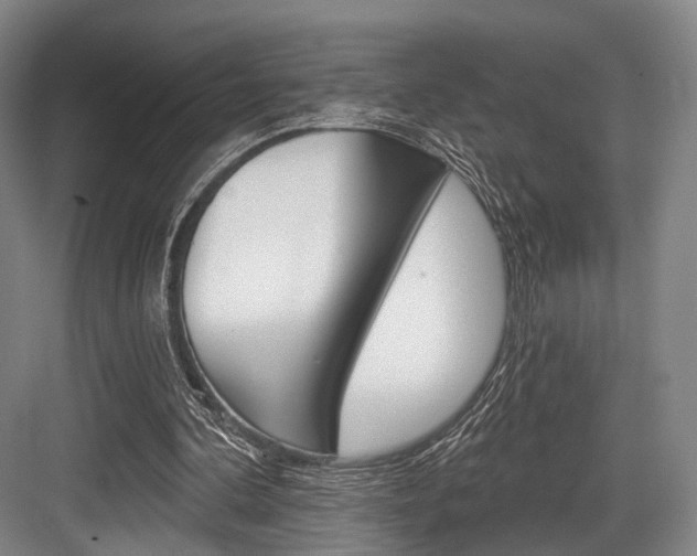 X0000084020292200702160833
