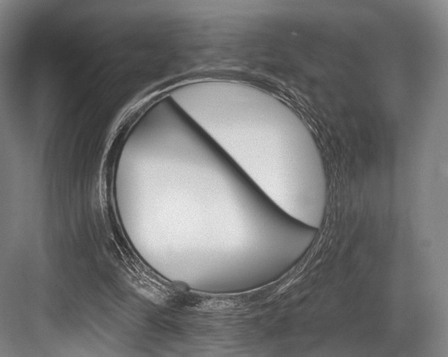 X0000084020294200702160833