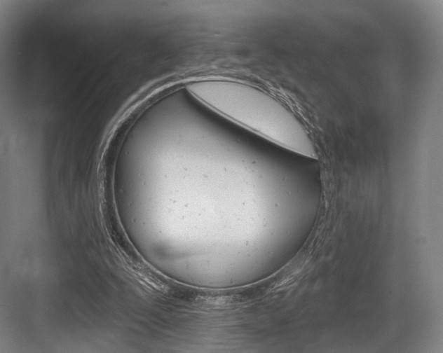 X0000084020295200702160833