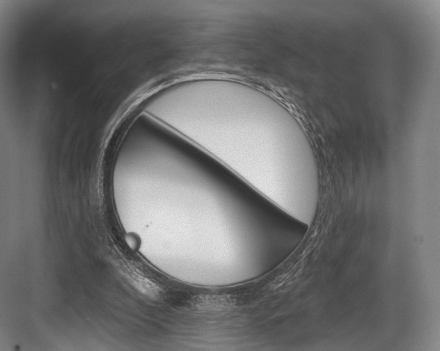 X0000084020296200702160833