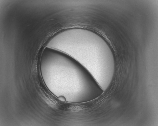 X0000084020299200702160833