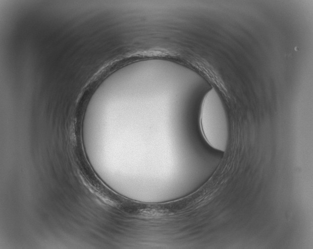 X0000084020300200702160833