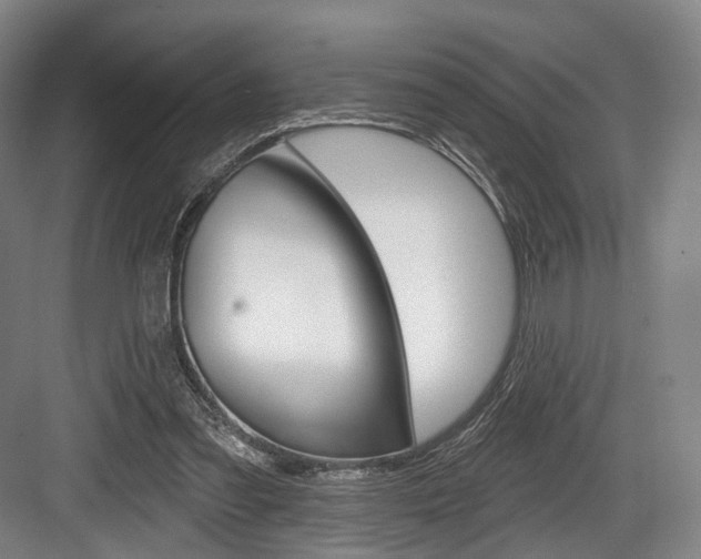 X0000084020301200702160833