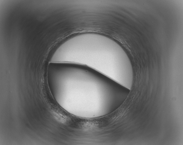 X0000084020303200702160833