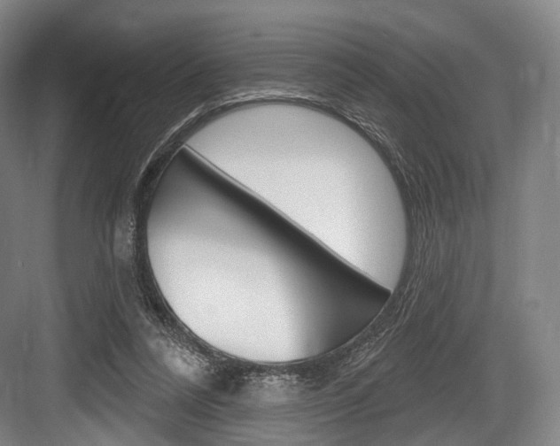 X0000084020304200702160833