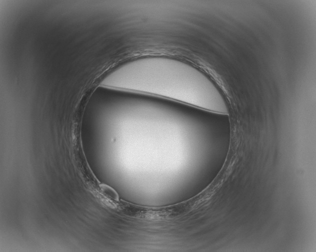 X0000084020305200702160833