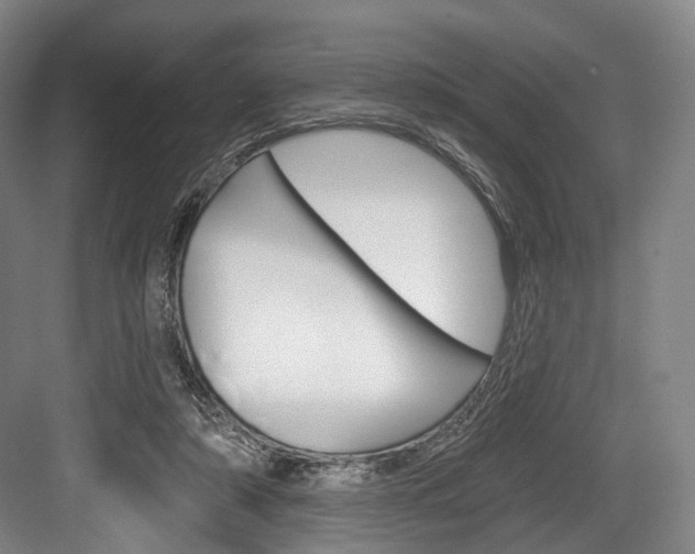 X0000084020306200702160833