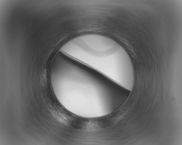 X0000084020308200702160833