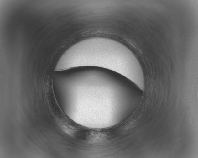 X0000084020311200702160833