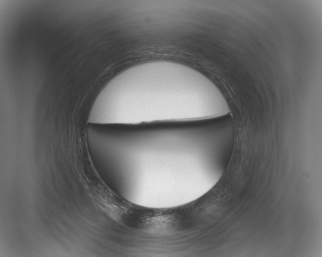 X0000084020312200702160833