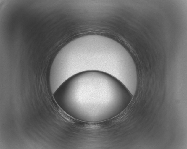 X0000084020313200702160833