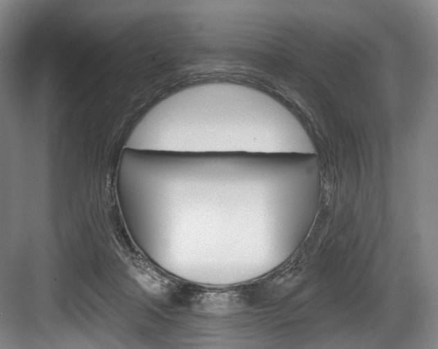 X0000084020314200702160833