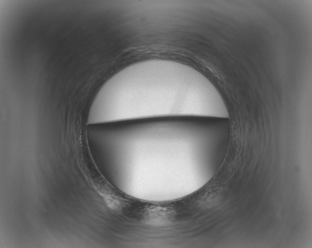 X0000084020315200702160833