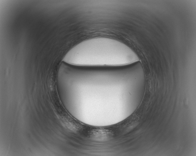X0000084020316200702160833