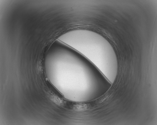 X0000084020317200702160833