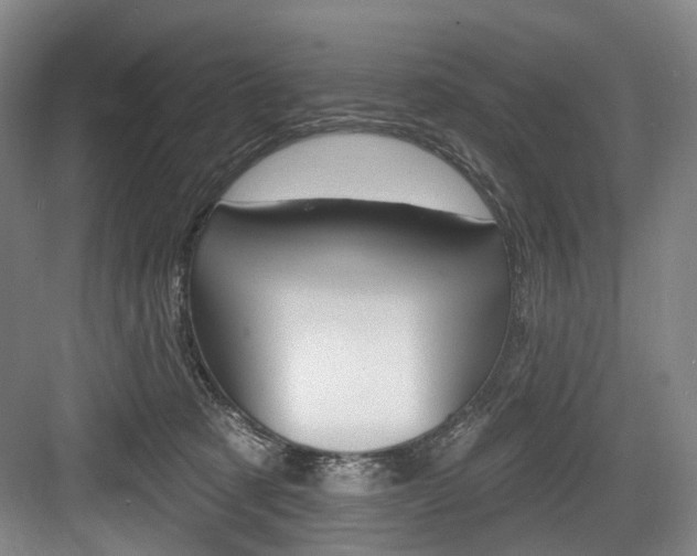 X0000084020321200702160833