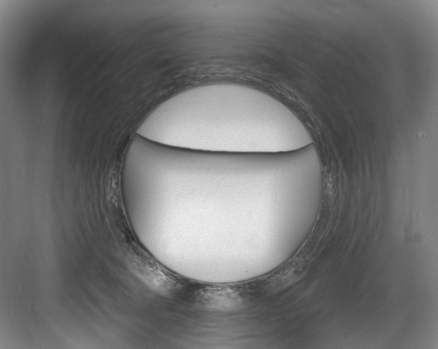 X0000084020322200702160833