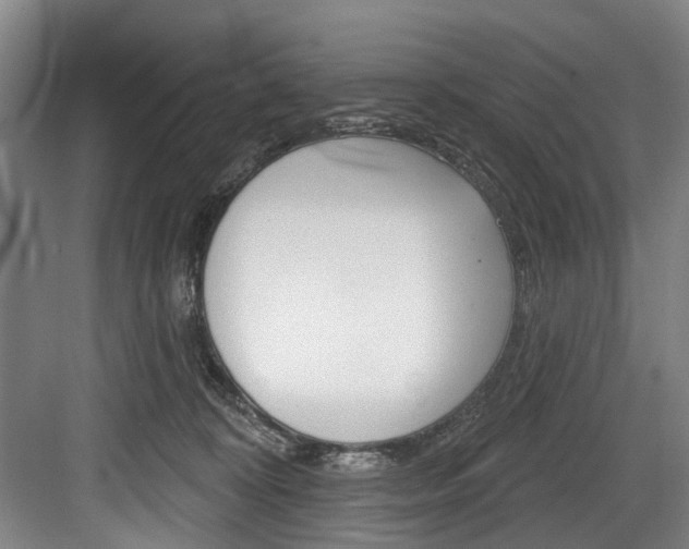 X0000084020324200702160833