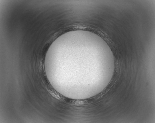 X0000084020330200702160833