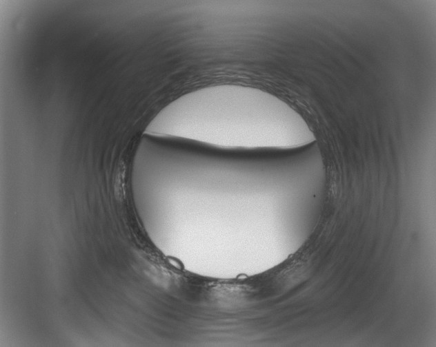 X0000084020332200702160833