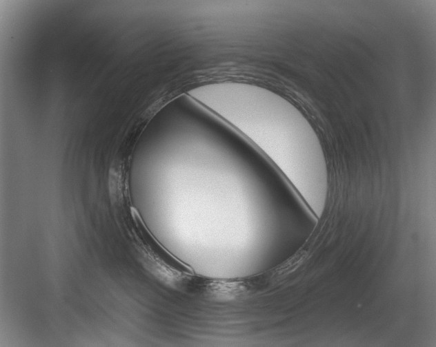 X0000084020333200702160833