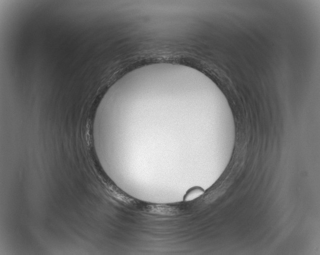 X0000084020336200702160832