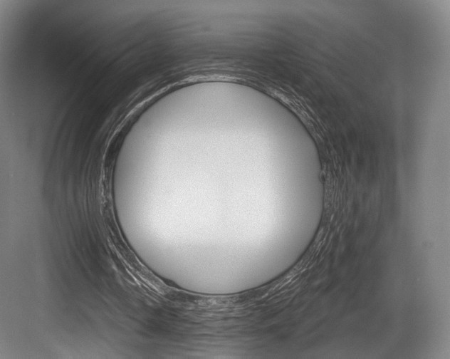 X0000084020338200702160832