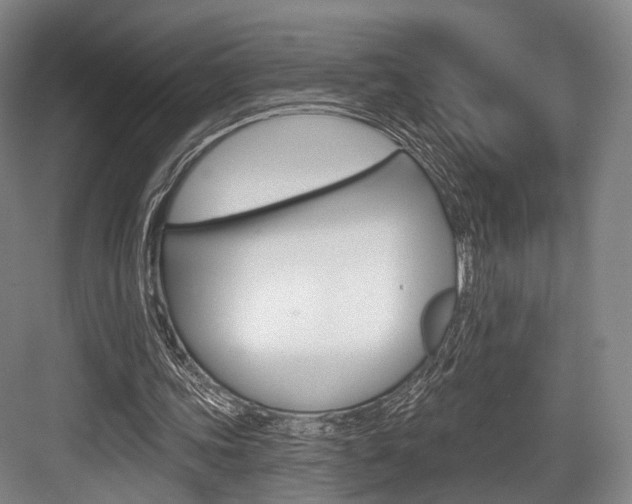 X0000084020339200702160832