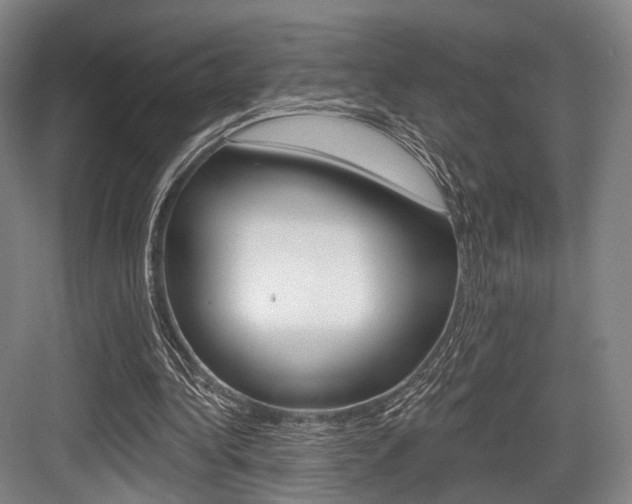 X0000084020340200702160832