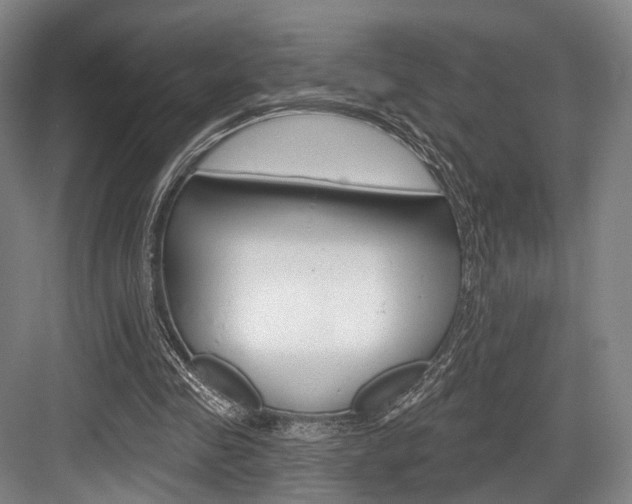 X0000084020341200702160832