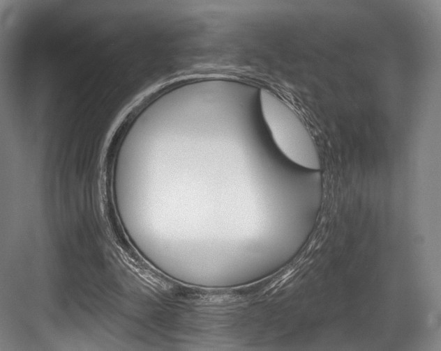 X0000084020342200702160832