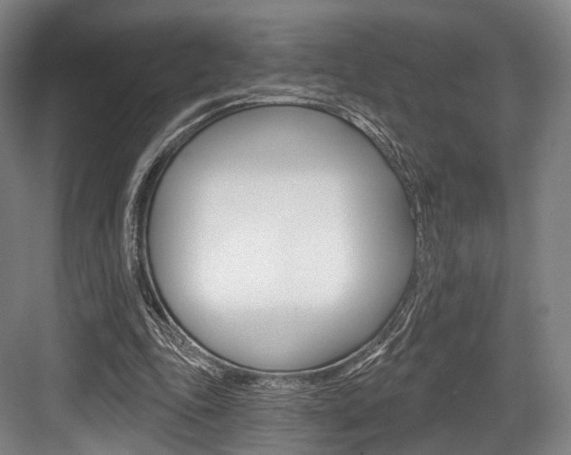 X0000084020343200702160832