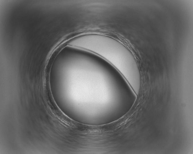 X0000084020344200702160832