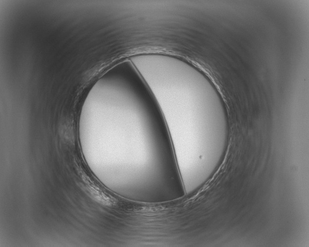 X0000084020345200702160832