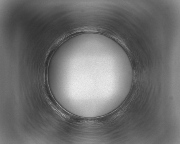 X0000084020349200702160832