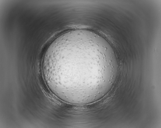 X0000084020351200702160832