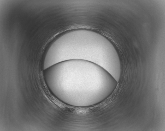 X0000084020352200702160832
