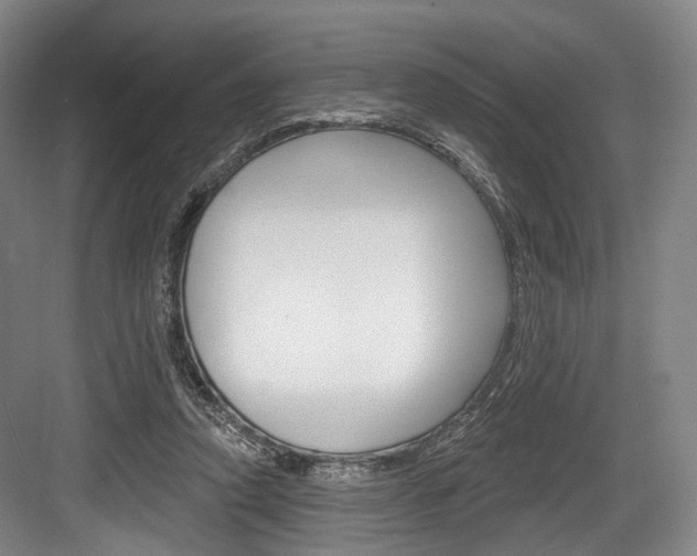 X0000084020354200702160832